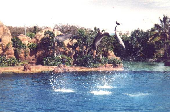 Sea World