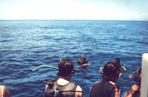 Reef Tour