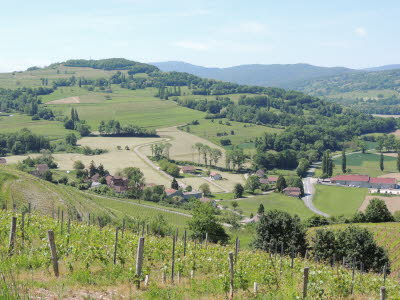 2017-05-17 Rhone noch klein