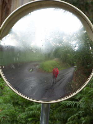 26_05_2012_102_6085
