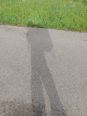 noch scheint die Sonne