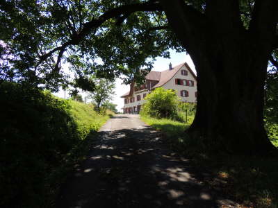 Allenwinden