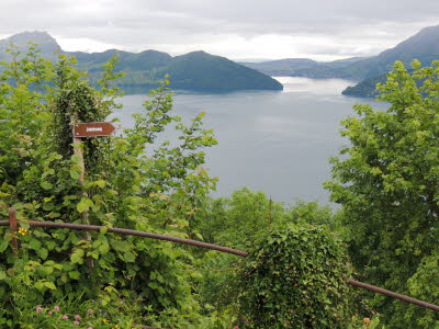 Blick auf den Vierwaldsttter See