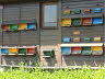 Bunter Bienenstock vor Romont
