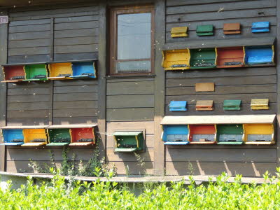Bunter Bienenstock vor Romont