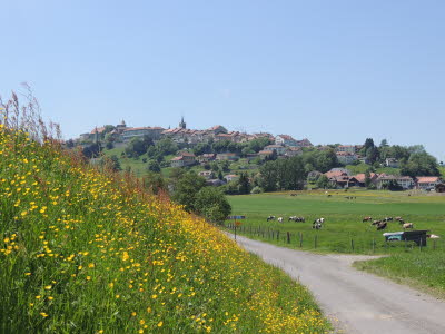 toll gelegenes Romont
