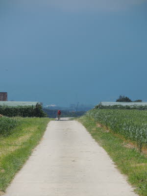 via Jacobi pur