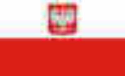 db_flagge-polen
