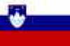 db_flagge-slowenien