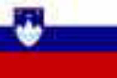 db_flagge-slowenien
